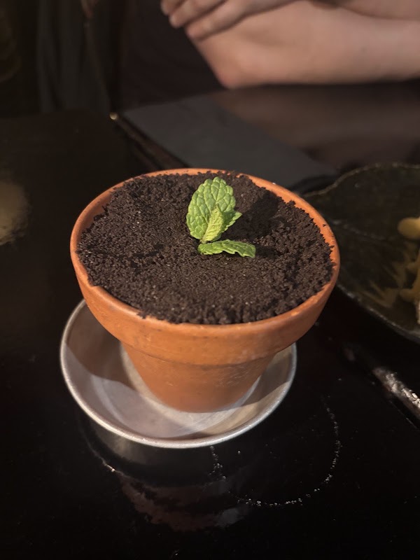 Restaurante Cantina 32 3