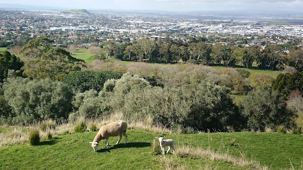 Maungakiekie / One Tree Hill 1