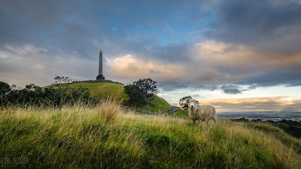 Maungakiekie / One Tree Hill 5