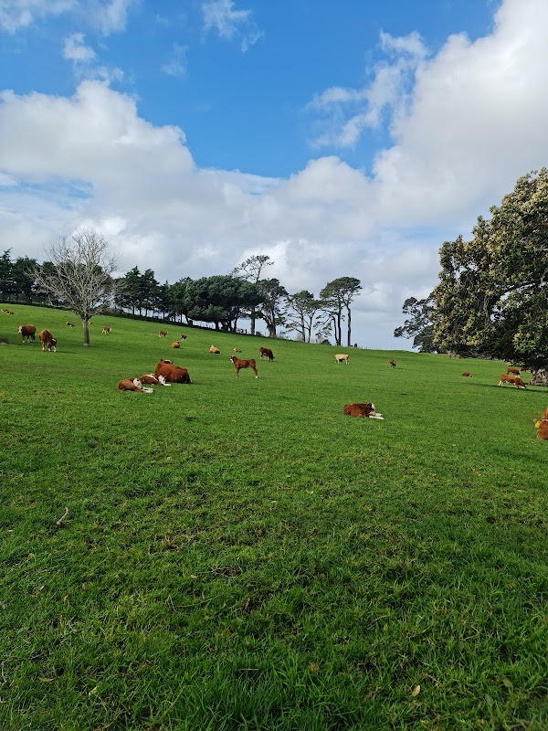 Maungakiekie / One Tree Hill 4