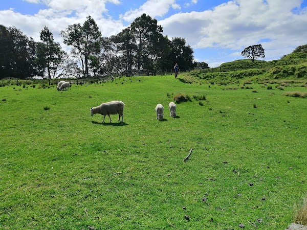 Maungakiekie / One Tree Hill 3