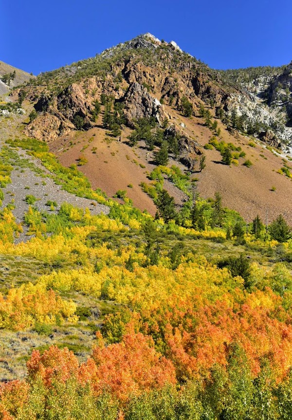 Bishop Creek Canyon