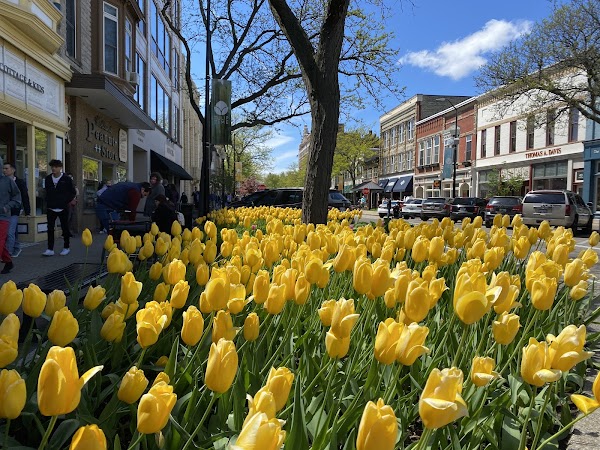 Holland 1