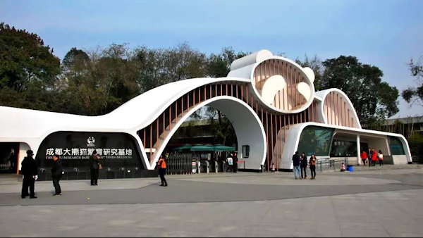 Chengdu Research Base of Giant Panda Breeding 5
