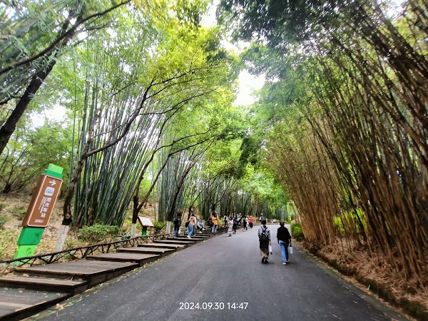 Chengdu Research Base of Giant Panda Breeding 3
