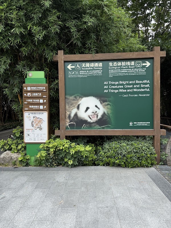 Chengdu Research Base of Giant Panda Breeding 2