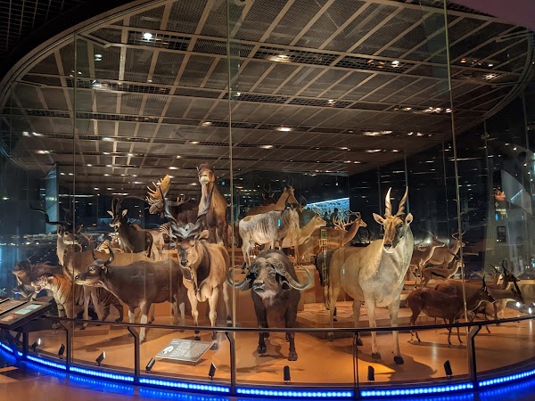 National Museum of Nature and Science 4