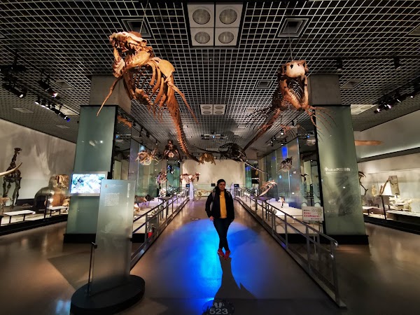 National Museum of Nature and Science 3