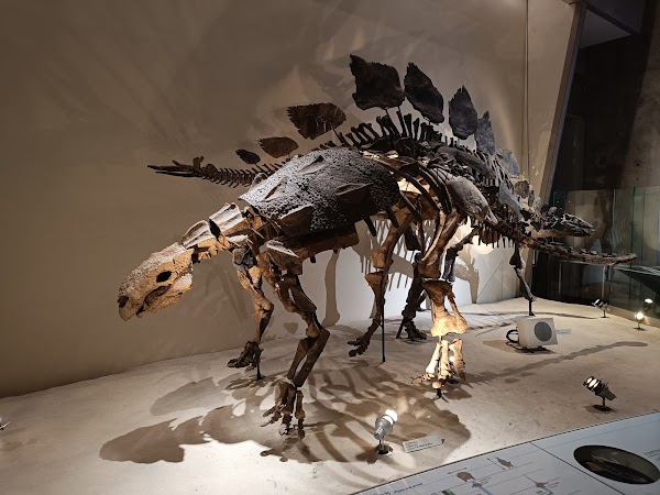 National Museum of Nature and Science 2