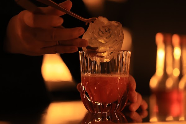 Flying Bumblebee 4