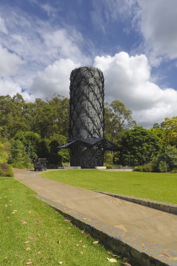 Mount Coot-tha Botanic Gardens 4
