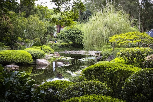 Mount Coot-tha Botanic Gardens 3