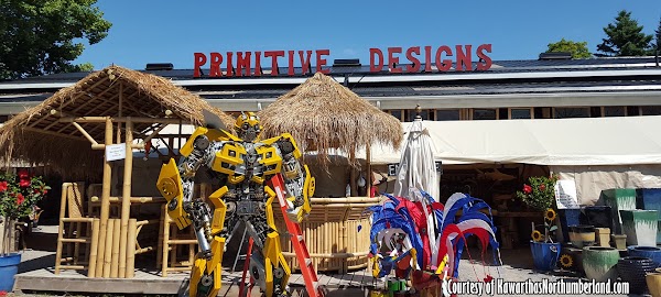 Primitive Designs