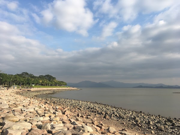 Mangrove Nature Reserve 5