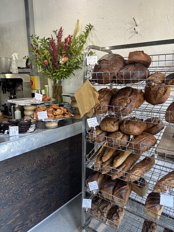 TOAD Bakery 2