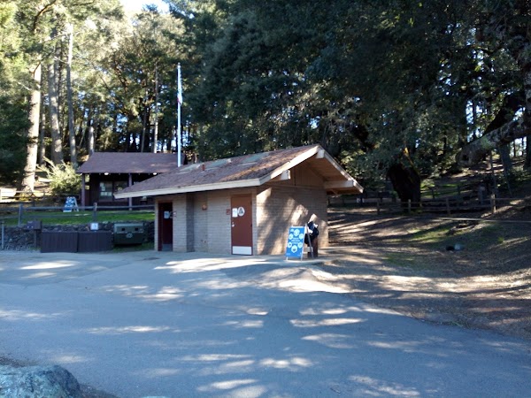 Pantoll Campground 1