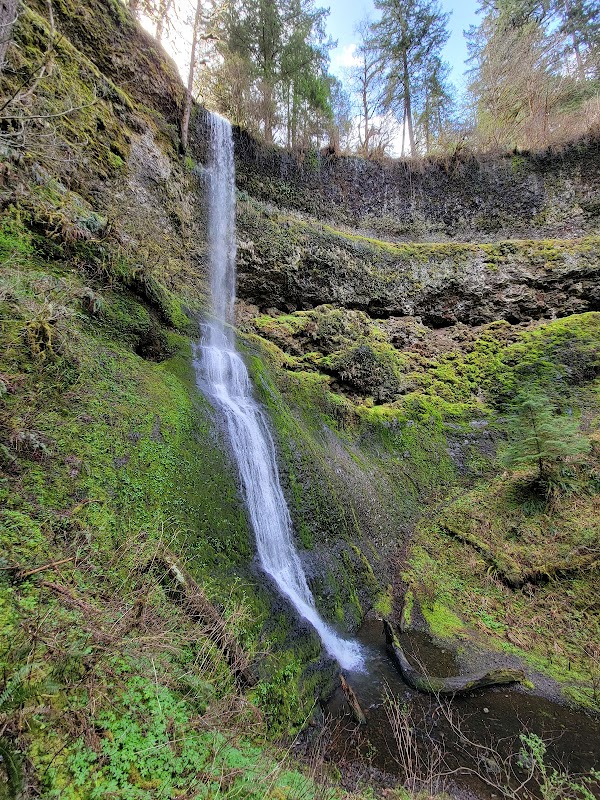 Winter Falls