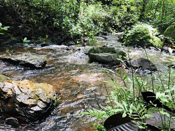 Madei Wildlife Sanctuary 4