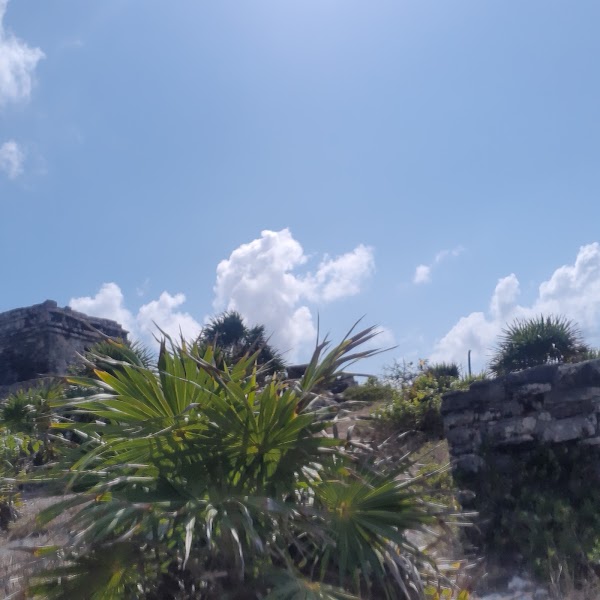 Templo del Dios del Viento 5