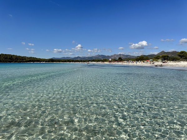 Brandinchi Beach 5