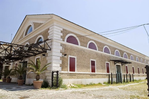 Mattatoio