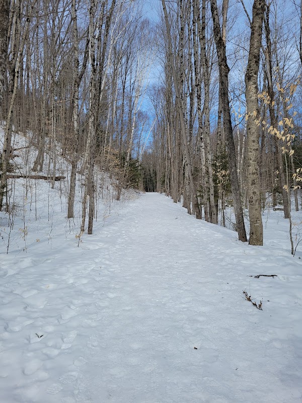 Lincoln Woods Trail 1