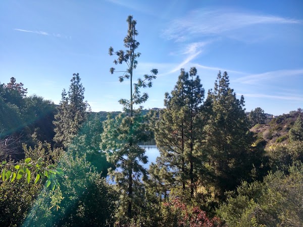 Hollywood Reservoir 3