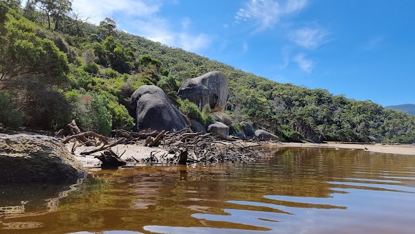 Tidal River