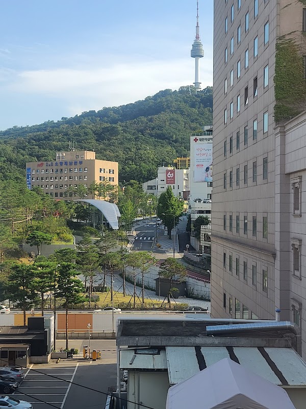 Henn-na Hotel Seoul Myeongdong