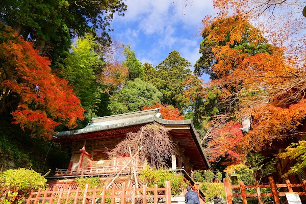 Tanzan Jinja 5