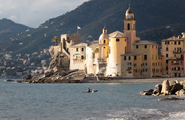 Camogli 5