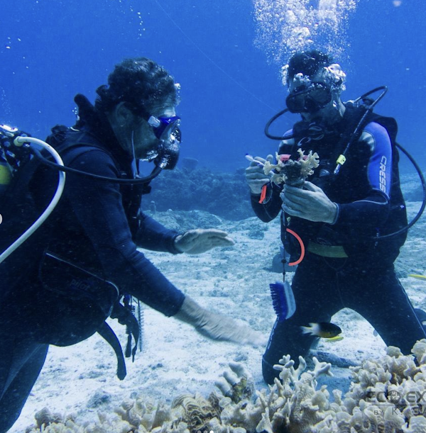 Cozumel Coral Reef Restoration Program 3