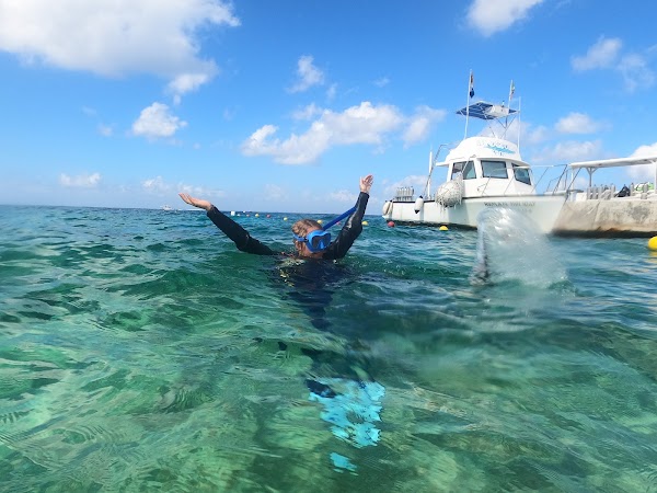 Cozumel Coral Reef Restoration Program 2