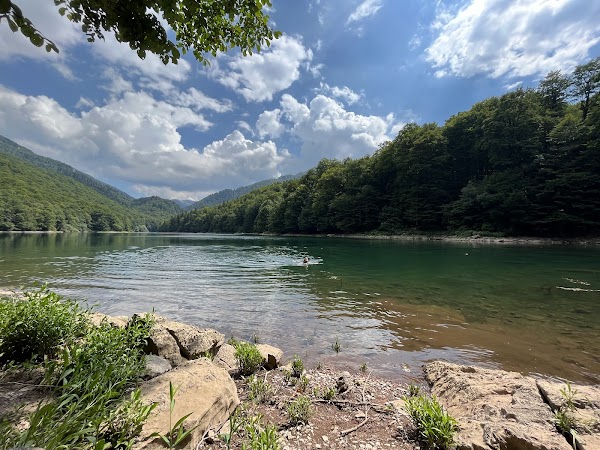 Biogradska gora National Park