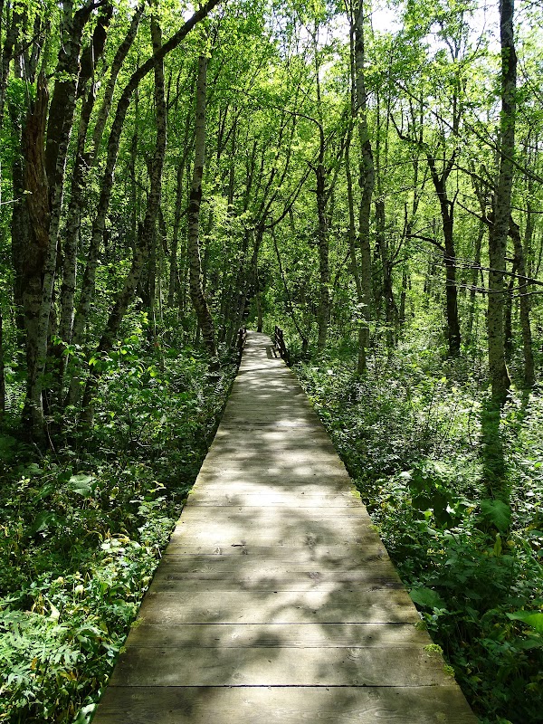 Biogradska gora National Park 5