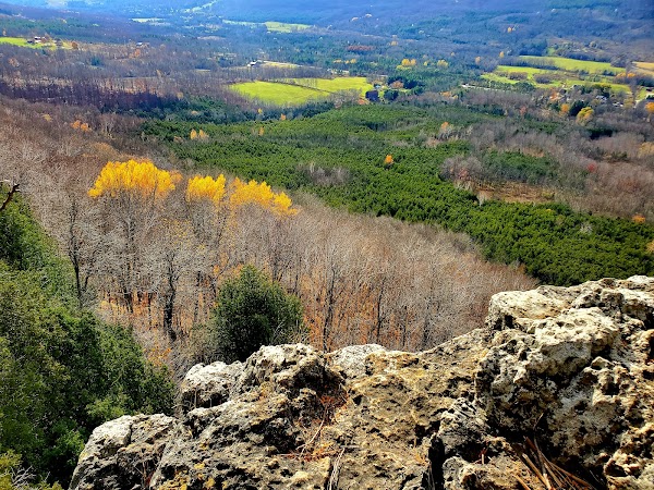 The Blue Mountains