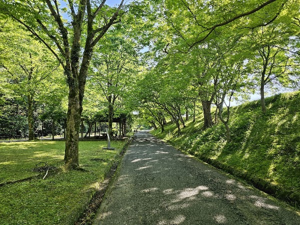 Himeyama Park 5