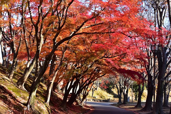 Himeyama Park 4