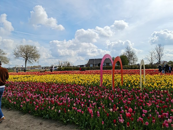The Tulip Barn 2