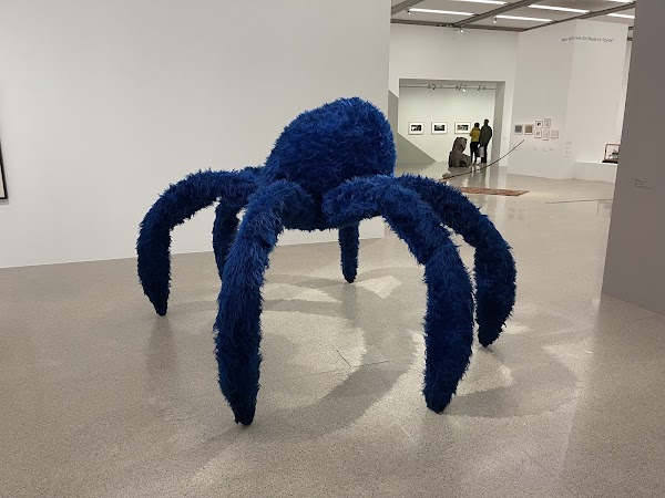 mumok - Museum moderner Kunst Stiftung Ludwig Wien 4