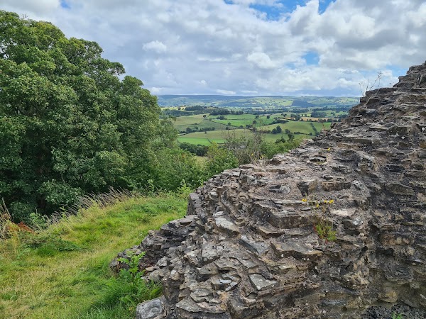 Castell Dolforwyn 3