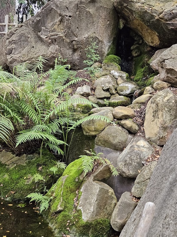 Santa Barbara Botanic Garden 3