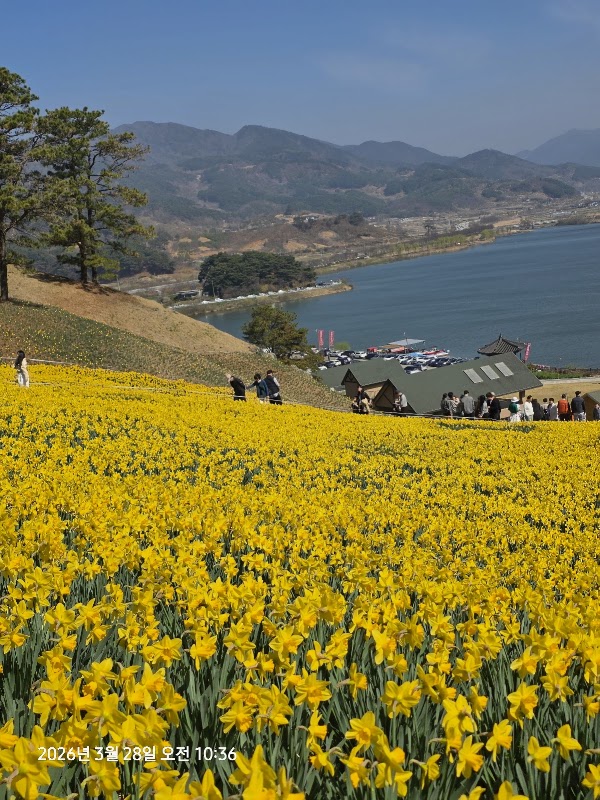 Jirisan Cheese Land 5