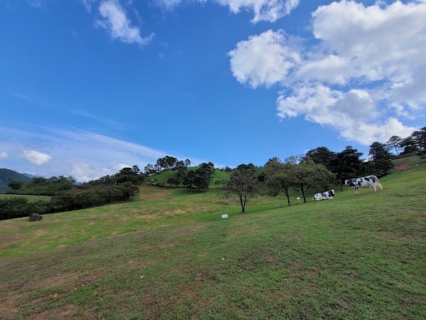 Jirisan Cheese Land 3