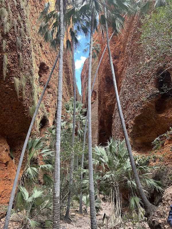 Echidna Chasm 3
