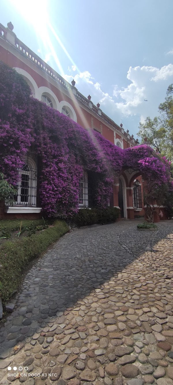 San Ángel 2