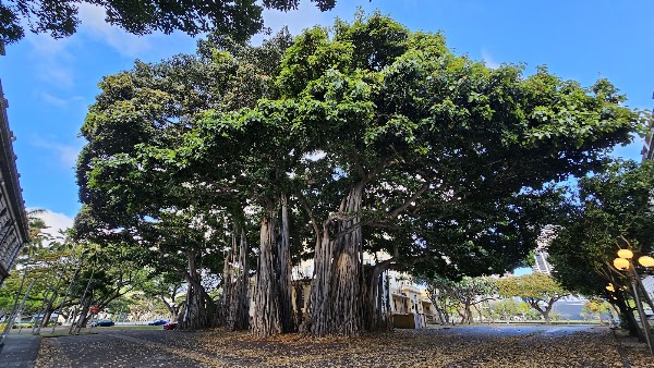 King Kamehameha Statue 5
