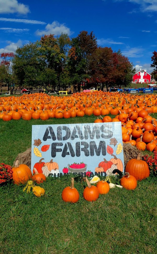 Adam's Farm
