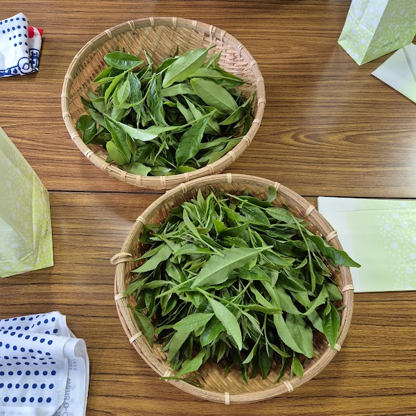 Kuraya Narusawa 2