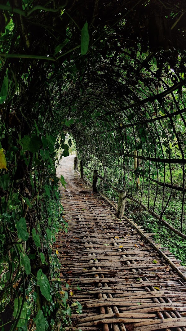 Kho Ku So Bamboo Bridge 4